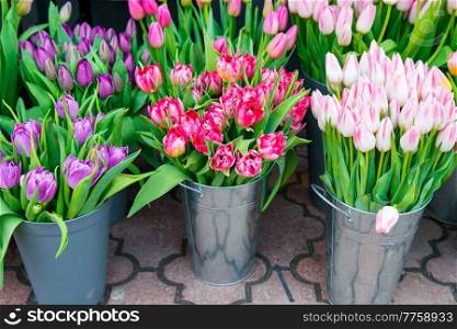 Spring flowers tulips in buckets on street