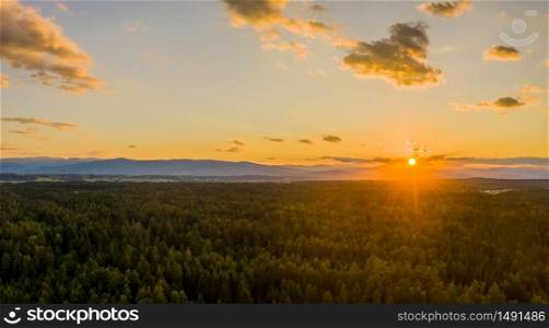 Spring forest aerial view from above during sunset. Nature in Austria. Spring forest aerial view from above during sunset