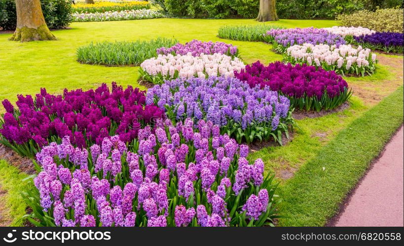 Spring Formal Garden. Beautiful garden of colorful flowers