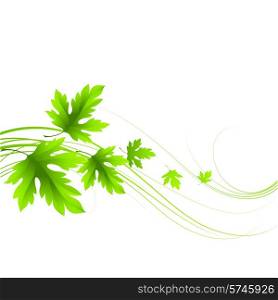 Spring fresh green leaves. Vector illustration EPS10