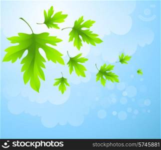 Spring fresh green leaves. Vector illustration EPS10. Spring fresh green leaves. Vector illustration