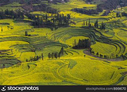 Spring fresh landscape of colorful fields, sunrise sky and beautiful hills valley