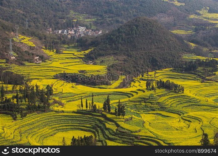 Spring fresh landscape of colorful fields, sunrise sky and beautiful hills valley
