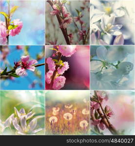 Spring garden collage