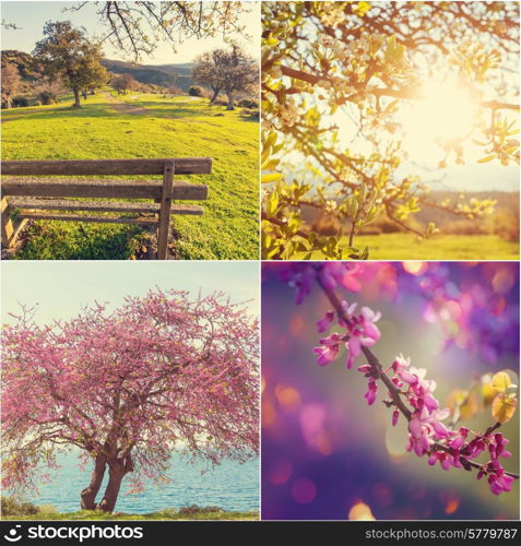 Spring garden collage