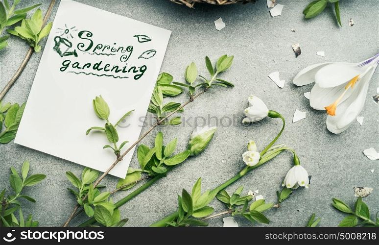 Spring gardening lettering with various springtime plant: Lily of Valley, crocus flowers and spring twigs, top view