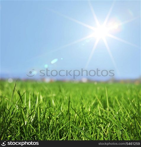 Spring grass in sun light and defocused sky on background