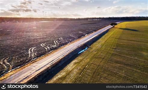 Spring green and black agricultural fields. Asphalt rural road. Melting snow in march. Lone tree on a road side. Winter crops and plowed field. Spring countryside aerial landscape. Belarus 