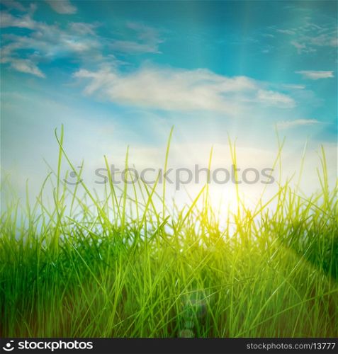 Spring green grass and sun on blue sky background