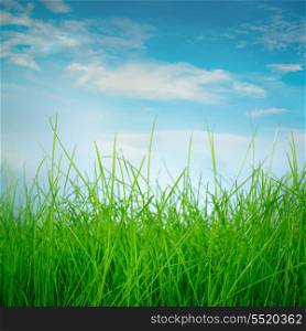 Spring green grass and sun on blue sky background