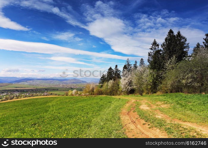 Spring green hills blooming. Valley behind the foothills in Ukraine