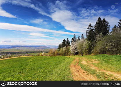 Spring green hills blooming. Valley behind the foothills in Ukraine