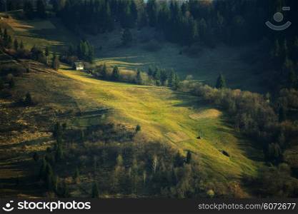 Spring green hillsides. Sunny April in Carpathian mountains.