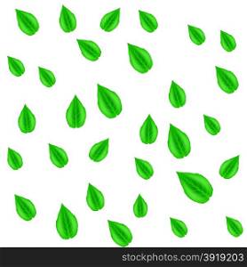 Spring Green Leaves Pattern Isolated on White Background. Green Leaves Pattern