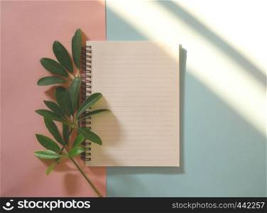 Spring green leaves with blank notebook on blue and pink background,