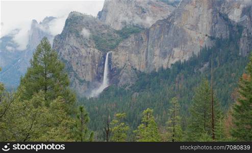 Spring green pine trees neat Yosemite Falls