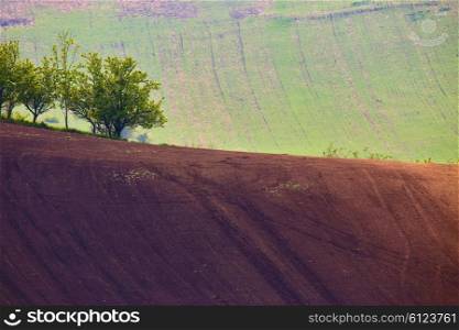 spring hills. Arable lands in Czech Moravia