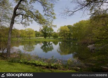 Spring in Central park, New York, USA
