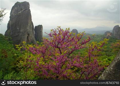 Spring in Meteora a?? Greece