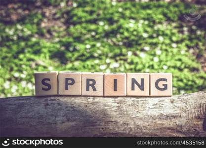 Spring in the forest with a wooden sign