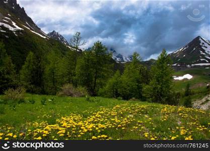spring in the heights of the Hautes Alpes in France