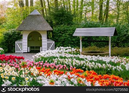 Spring in the park. Lisse, the Netherlands.. Spring in the park