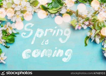 Spring is coming text , spring blossom twigs with bokehlighting on blue turquoise background, top view, border. Springtime concept