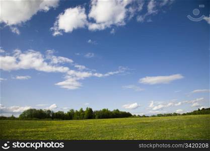 Spring Landscape. Green Meadow And Blue Sky.