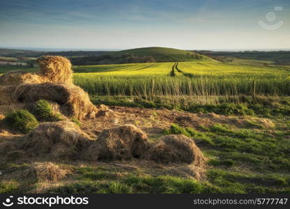 Spring landscape in late evening light with fields and long shadows