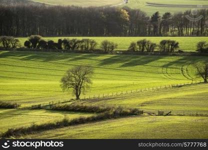 Spring landscape in late evening light with fields and long shadows