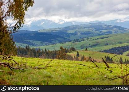 Spring landscape of the mountain carpathians with wet fogs, hills overgrown with green grass and low gray clouds. Blurred foreground. Copy space.. Mountain landscape of spring Carpathians in early spring with low clouds and fresh green grass on the hills.