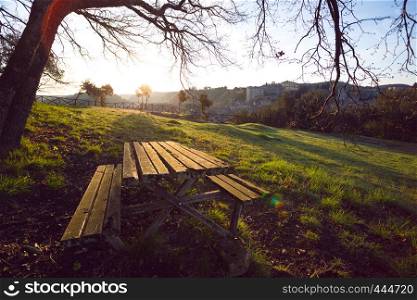 spring landscape - place for rest in the park a bench and a table