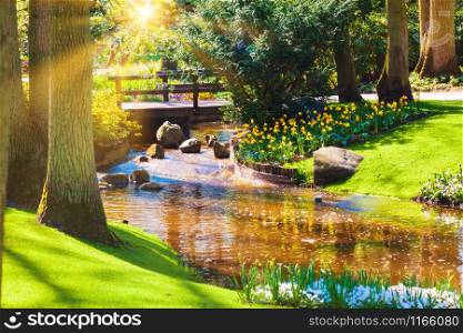 Spring landscape. Sun rays shining on a meadow flowers. garden in spring