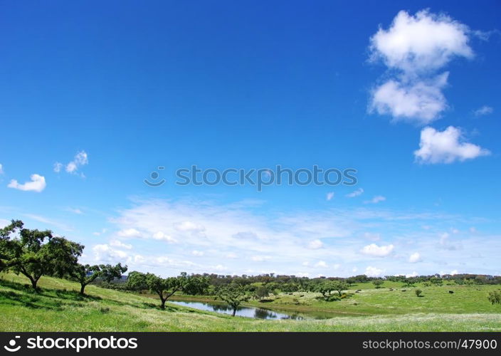 spring landscape view of the Alentejo region in Portugal