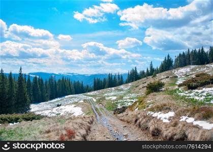 Spring landscape with mountains, green spruce forest and blue sky with clouds