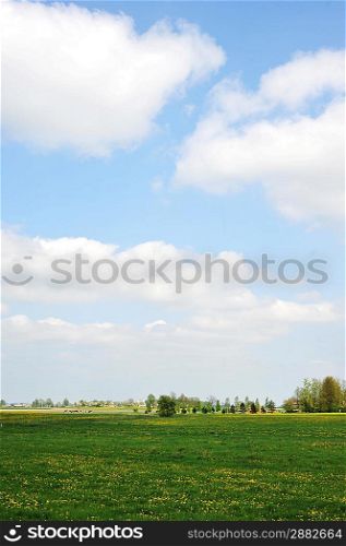 spring meadow and trees landscape