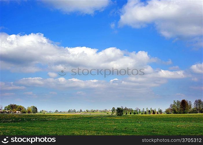 spring meadow and trees landscape