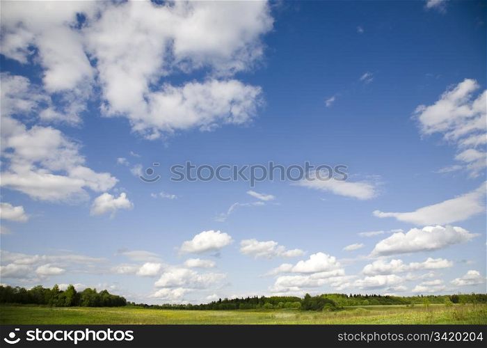 Spring Meadow. Forest and Blue Sky With Clouds.