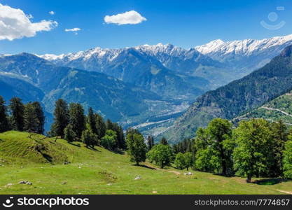 Spring meadow in Kullu valley in Himalaya mountains. Himachal Pradesh, India. Spring in Kullu valley in Himalaya mountains. Himachal Pradesh, India