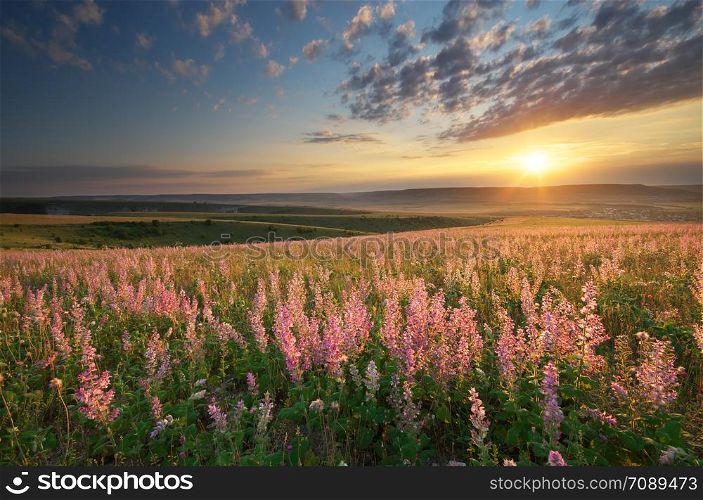 Spring meadow of flowers. Composition of nature.