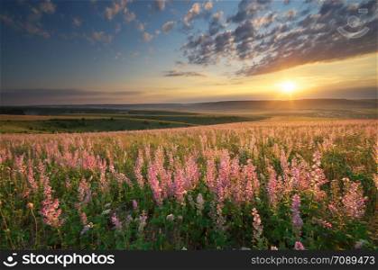 Spring meadow of flowers. Composition of nature.
