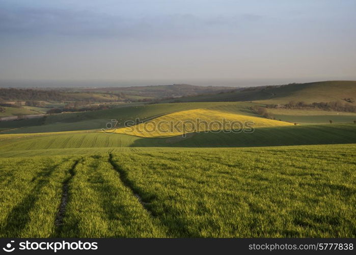 Spring morning over agricultural landscape in Englsh countryside