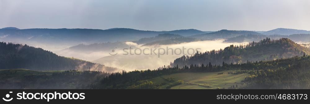 Spring mountain panorama. Foggy forest on hills in the morning