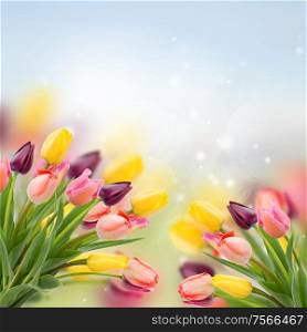 spring multicolored tulips on blue bokeh background. spring tulips on blue