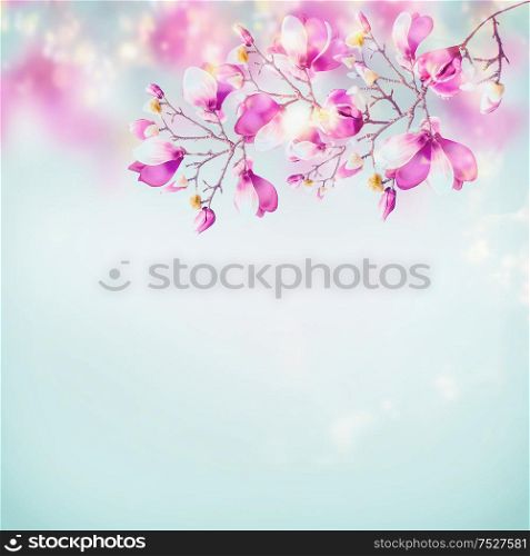Spring nature background with beautiful magnolia blooming branches at light blue sky background with sunlight bokeh frame. Pink spring blossom of nature