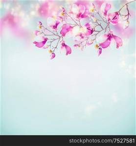 Spring nature background with beautiful magnolia blooming branches at light blue sky background with sunlight bokeh frame. Pink spring blossom of nature