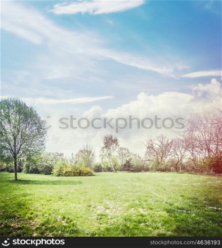 Spring nature background with lawn , trees and beautiful sky