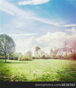 Spring nature background with lawn , trees and beautiful sky