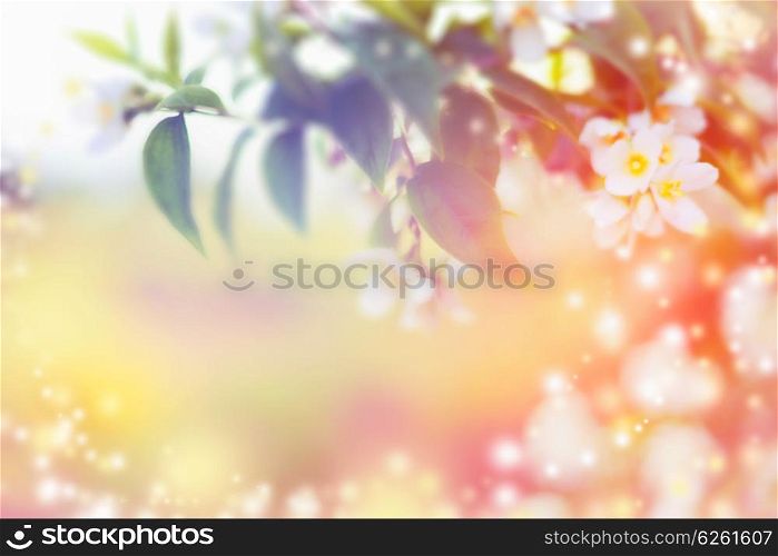 Spring nature background with white tree blossom, sunlight and bokeh, blurred