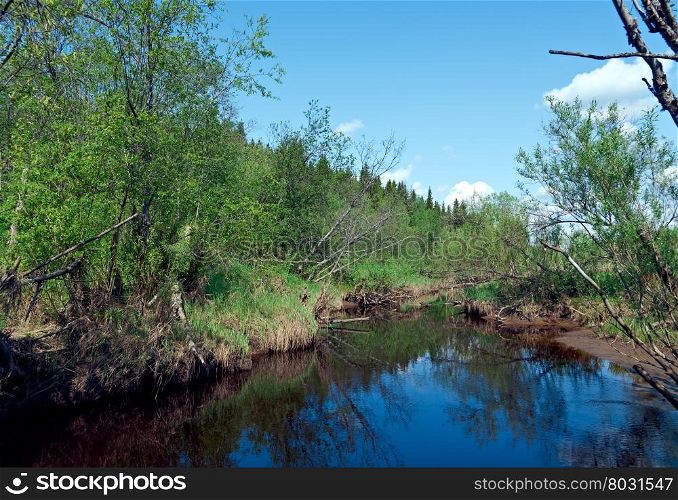 Spring on the river.Arkhangelsk oblast.Russian North.